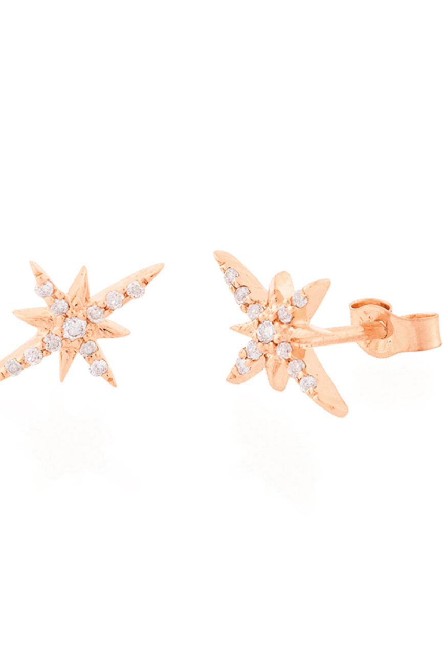 celling daoust rose gold stars and universe north star stud earrings